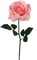 24-Pack: Open Rose Stem with Realistic Silk Foliage by Floral Home®